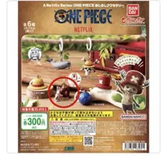 ワンピース　めじるしアクセサリー