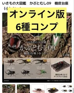 いきもの大図鑑　かぶとむし09　ガシャポンオンライン版　樹皮台座(小)付き