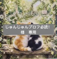 じゅんじゅんプロフ必読！様　専用