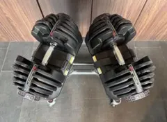 REP Fitness】可変式ダンベル 30Kg×2 埼玉引取限定 - メルカリ