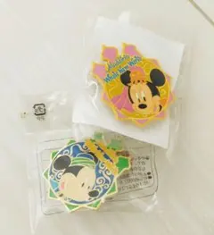 東京ディズニーシー*アブーズバザール景品*ピンバッジ*ミッキーミニーアラジン