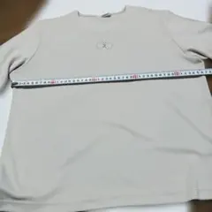 レディース　Tシャツ
