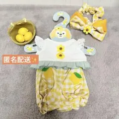 ディズニー　タグ付き　クッキーアン　テイスティサマーサプライズ　ぬいば クッキーアンぬいぐるみバッジ（テイスティ・サマー・サプライズグッズ