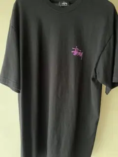 STUSSY Tシャツ