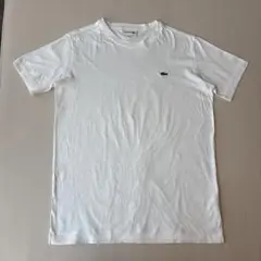 ラコステTシャツ 白のサムネイル