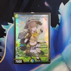 アセビアンドロメダクシナダ