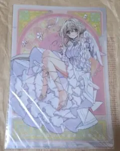 2025年最新】ワンルーム、日当たり普通、天使付き。の人気