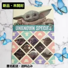 公式グッズ】映画 マンダロリアン＆グローグー 3D下敷き B5 スター