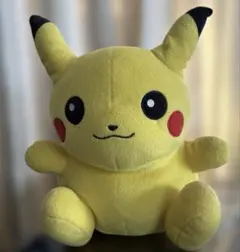 ポケモンセンター 愛知万博ポケパーク ポケモンドール ピカチュウ