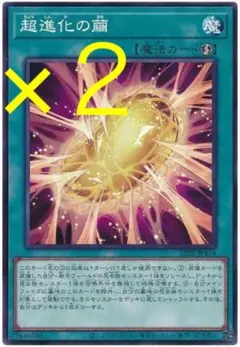 遊戯王OCG 進化の繭 ARS 10＋ 遊戯王OCG 進化の繭 ARS 10＋ 楽天市場】遊戯王 進化の繭の通販