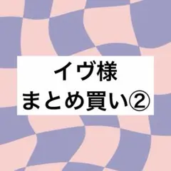 イヴ様 リクエスト 12枚　まとめ買い　②