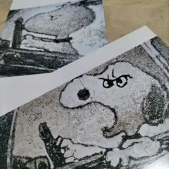 2025年最新】トム・エバハートの人気アイテム - メルカリ