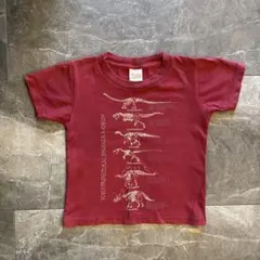 福井県立恐竜博物館 Tシャツ　110㎝　ボルドー
