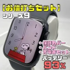【お値打ちセット】BT93％ シリーズ9 保護カバー＋バンド＋充電器セット
