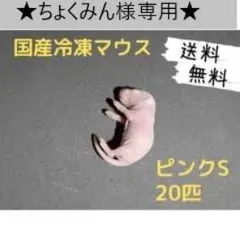 2025年最新】冷凍マウスの人気アイテム - メルカリ