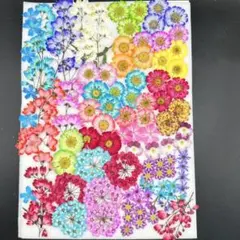はなはな様 リクエスト 3点 まとめ商品 すぐろの はな様 リクエスト 3点 まとめ商品 - メルカリ