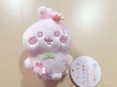 ちいかわ ぬいぱれっと～さくらいろ～マスコット② うさぎ
