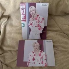 StrayKids◆フィリックス　ラントレセット