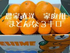 19【農家直送】愛媛県産　愛果28号　　(紅まどんな)3キロ