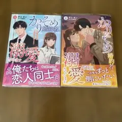 かりそめ婚約者に溺愛されてます～一途な御曹司は失恋女子を捕まえたい～ 全巻セット