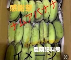 感謝祭　ナムア　バナナ　箱込4kgのサムネイル