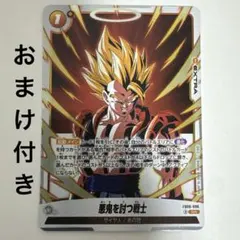 ⭐︎セール中⭐︎ 悪鬼を討つ戦士 SR ドラゴンボール フュージョン