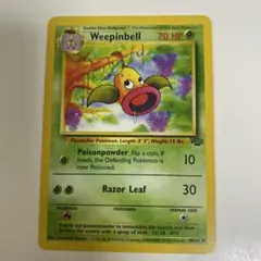 ポケモンカード Weepinbell ウツドン 英語版 海外版　旧裏面