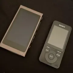 ねりねり【中古】ソニー　NW-A45（カバー、128GB SDカード付） ねりねり様専用【中古】ソニー NW-A45（カバー、128GB SDカード付）