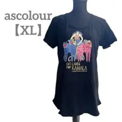 美品⭐️ascolour 【XL】Tシャツ チュニック丈 アニマル