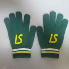 Item thumbnail for item b8c32ae4-1867-4864-b0c8-e63bd7618881