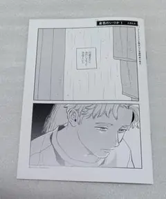 金色のいつか 三月えみ コミコミスタジオ コミコミ 特典 小冊子