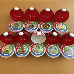 ポケパーク カントー ポケモンピンバッジ 5点＋＋モンスターボール＋袋