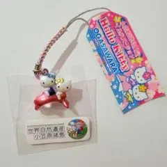 2025年最新】小笠原 キティの人気アイテム - メルカリ