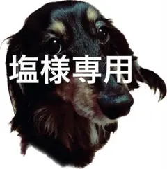 塩様専用トリミングチョーカーオーダーページ