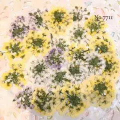 ペコ様 リクエスト 2点 まとめ商品