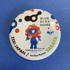 ブルーオーシャンドーム