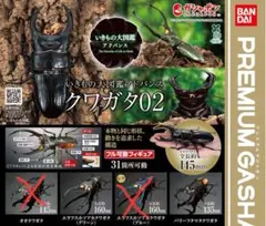 いきもの大図鑑アドバンス クワガタ02 エラフスホソアカグリーン、パリーフタマタ