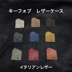 超お買得】オーサーアラーム キーレスブロック、IGLA2+、ステンレス