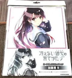 2025年最新】冴えない彼女 クリアファイルの人気アイテム - メルカリ