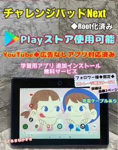 チャレンジパッドnext