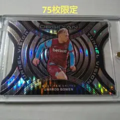 サッカー PANINI ジャロット・ボーウェン 75枚限定