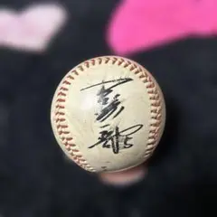読売ジャイアンツ 岡崎郁選手　サイン入り野球ボール　5番