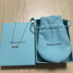 Tiffany & Co. 無限大(インフィニティ)モチーフネックレス