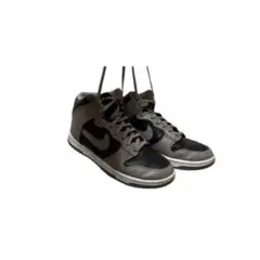 Nike 23.5cm DUNK HIGH ムーンフォッシル スニーカー