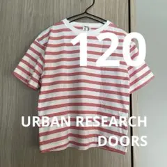 120cm URBAN RESEARCH DOORS 白赤ボーダーTシャツ