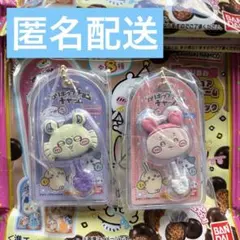 ロリポップチョコチャーム ミニチュアチョコチャーム