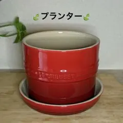 2025年最新】LE CREUSET 鉢・プランターの人気アイテム - メルカリ