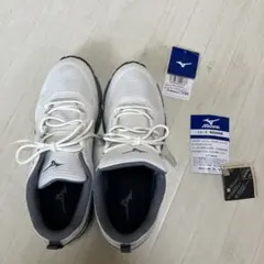 MIZUNO(ミズノ) ユニセックスGTX WAVE GAZELLE 3 GTX