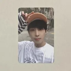 SEVENTEEN ヘンガレ HANA トレカ ウォヌ