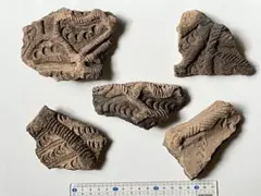 発掘 縄文 弥生時代 矢じり＆縄文土器 破片セット 宮城県名取市出土 石器 発掘 縄文 弥生時代 矢じり＆縄文土器 破片セット 宮城県名取市出土